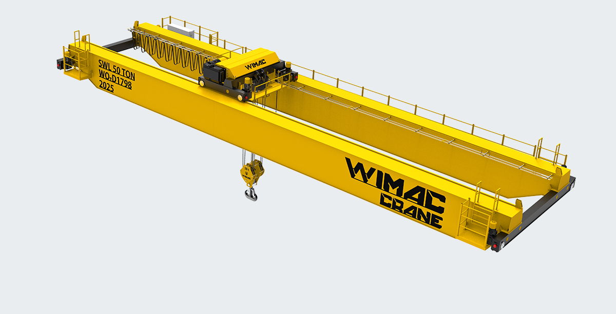 Double Girder Overhead Crane Systems